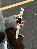 Monet's Garden Watch Band